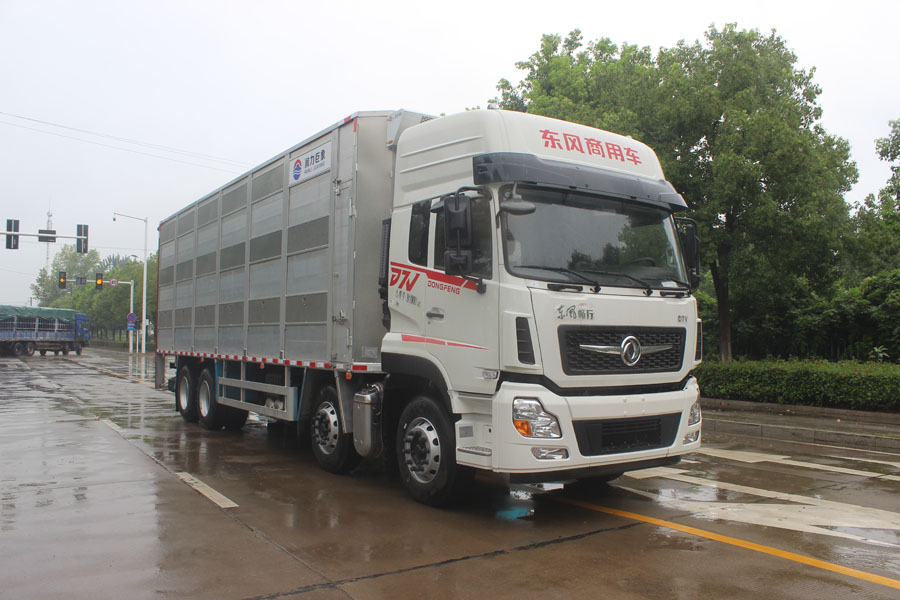 潤(rùn)知星牌SCS5310CCQDFV6型畜禽運(yùn)輸車(chē)